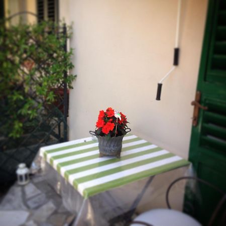 Terrazza Ginori Bed & Breakfast Сесто Фиорентино Стая снимка